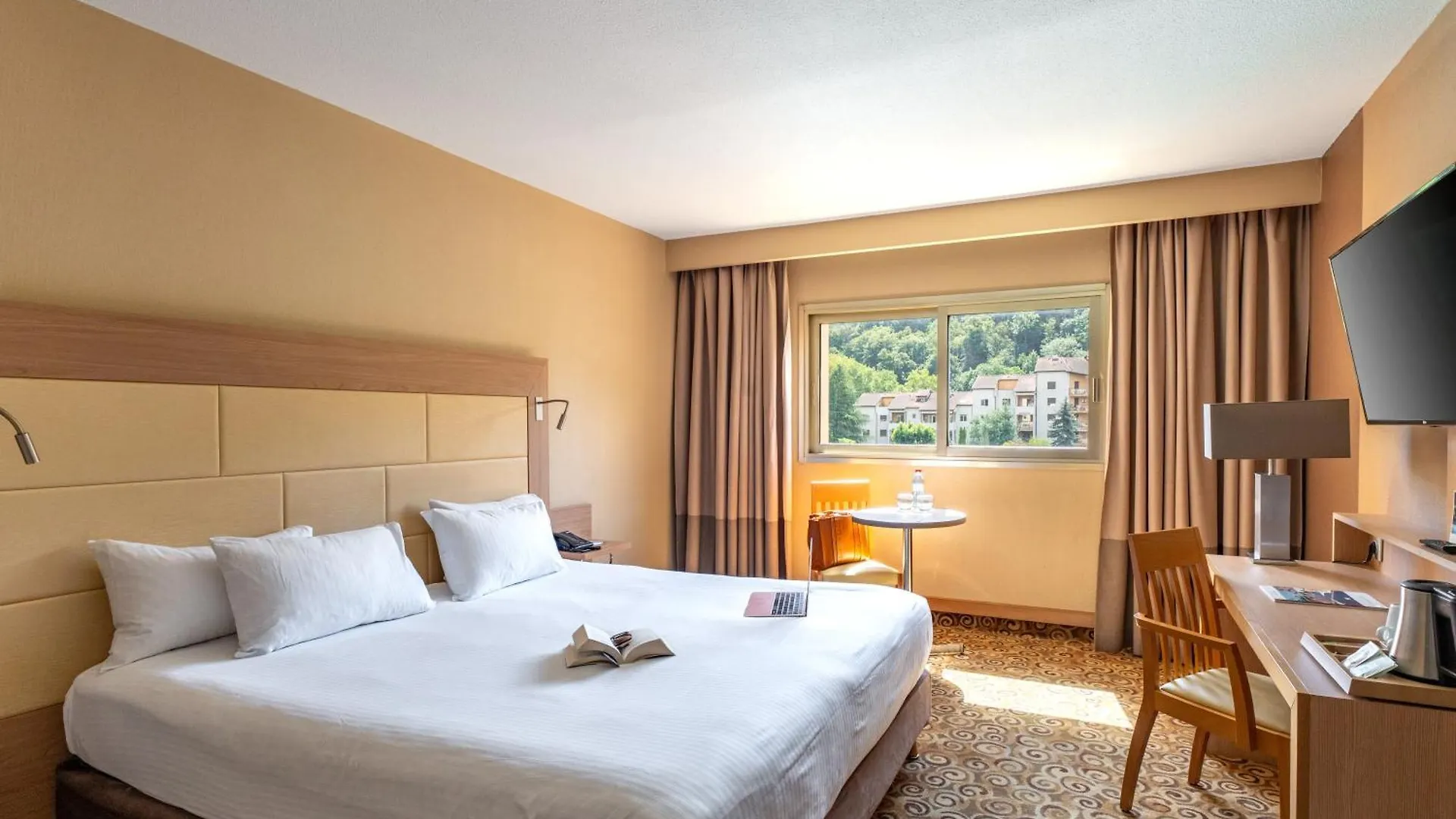 Hotel Lyon Metropole France