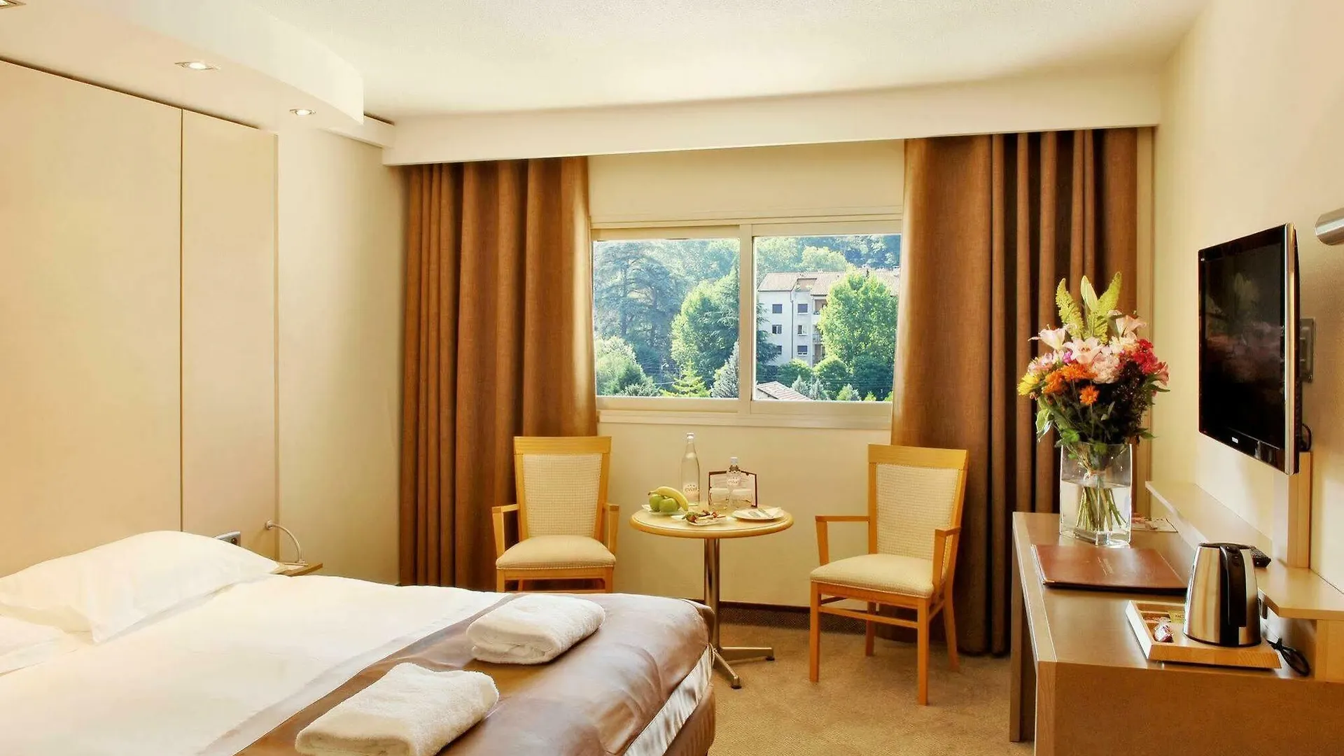 Hotel Lyon Metropole France